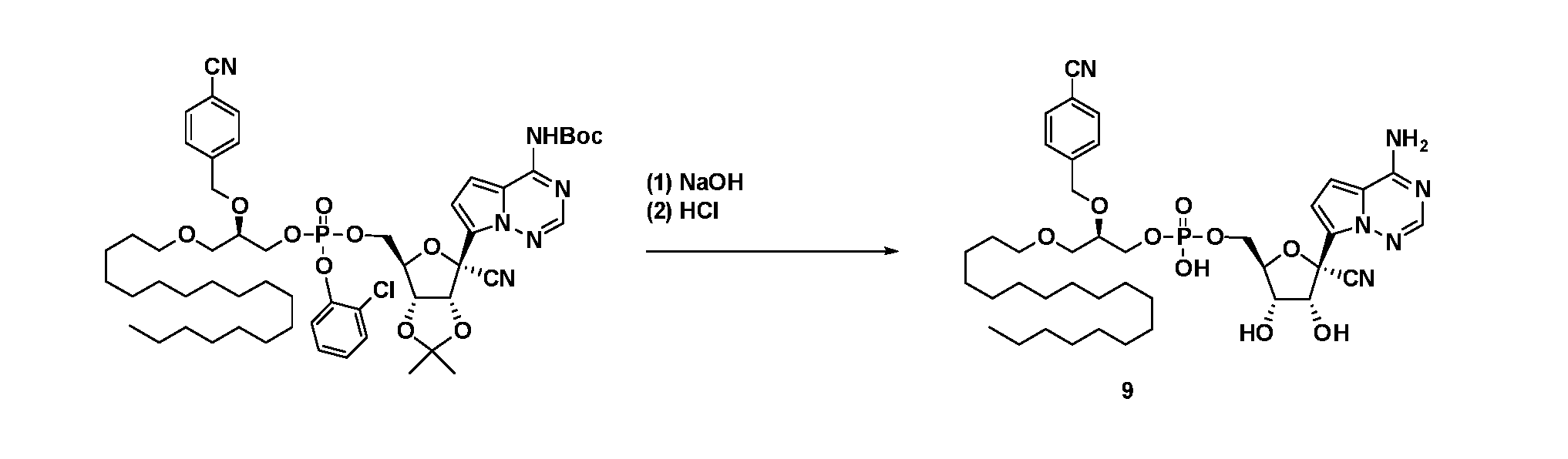Figure imgf000131_0001
