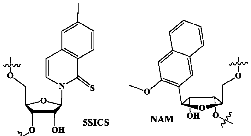 Figure imgf000016_0002