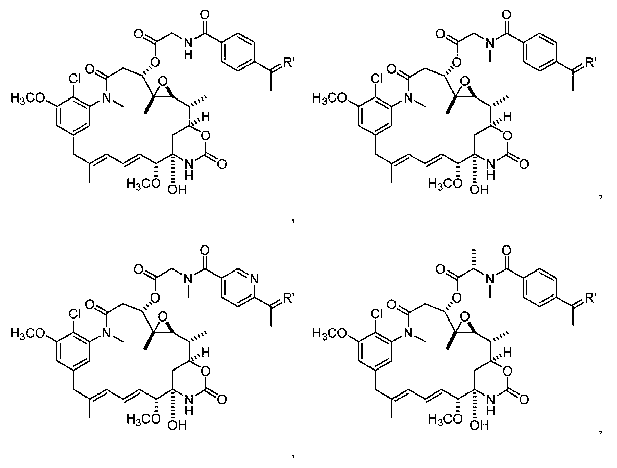 Figure 0007442821000021