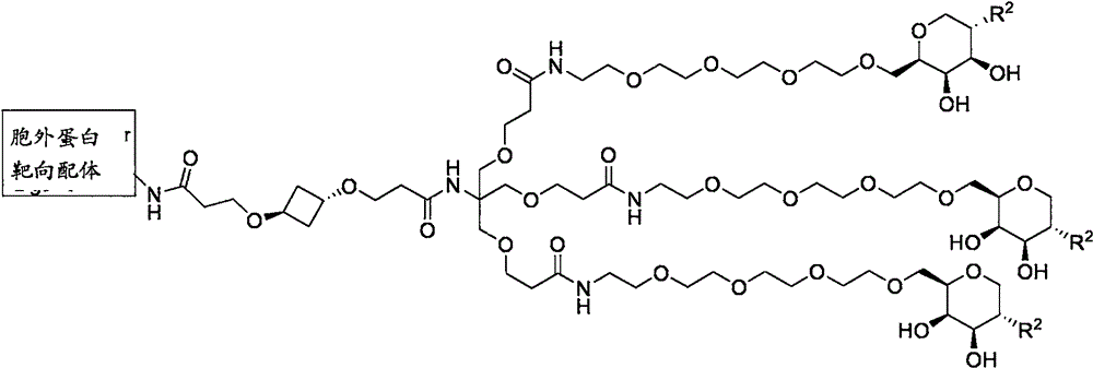 Figure BPA0000324887470000653