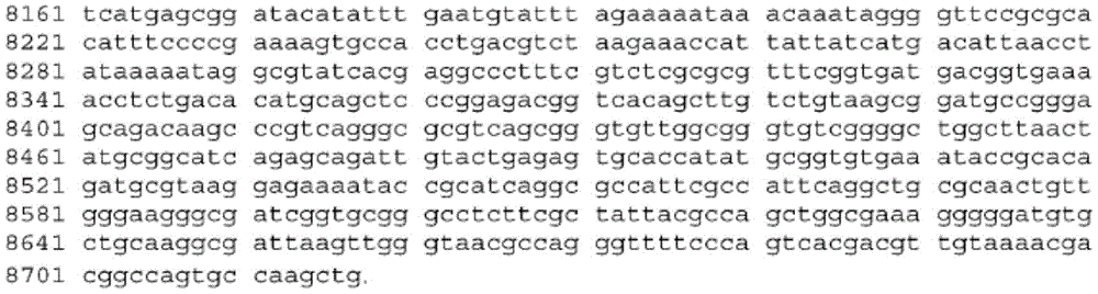 Figure BDA0003465582640001121