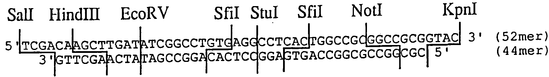 Figure imgf000032_0001