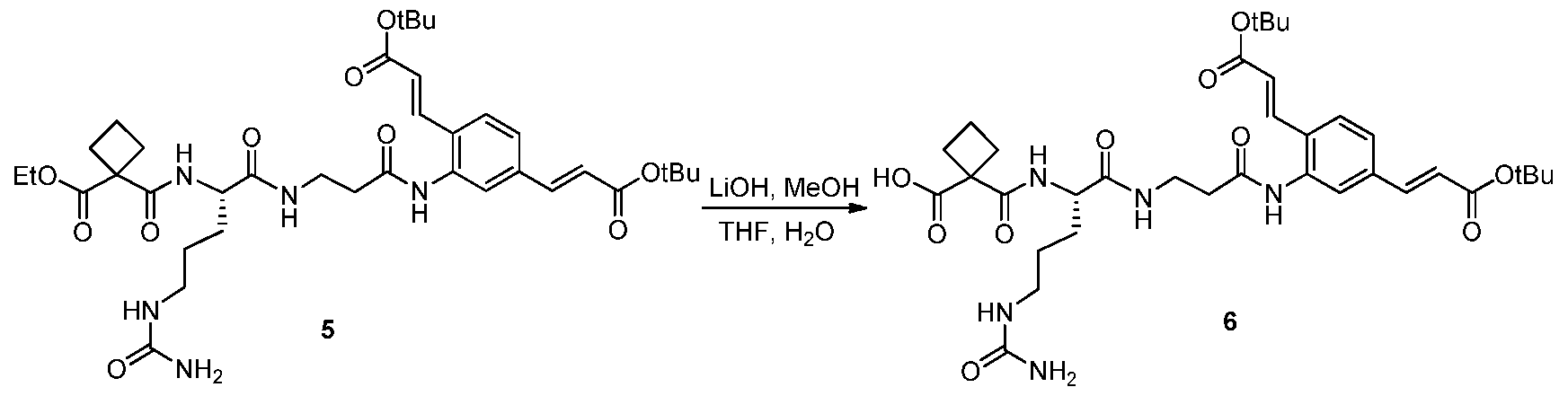 Figure imgf000258_0003