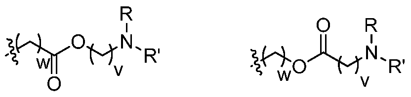 Figure imgf000009_0002