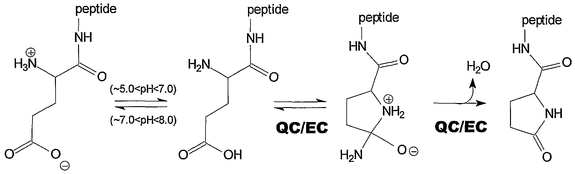 Figure imgf000009_0001