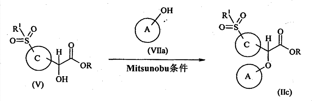 Figure GPA00001078609400153