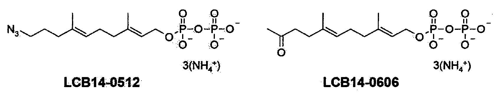 Figure PCTKR2020000091-appb-I000119