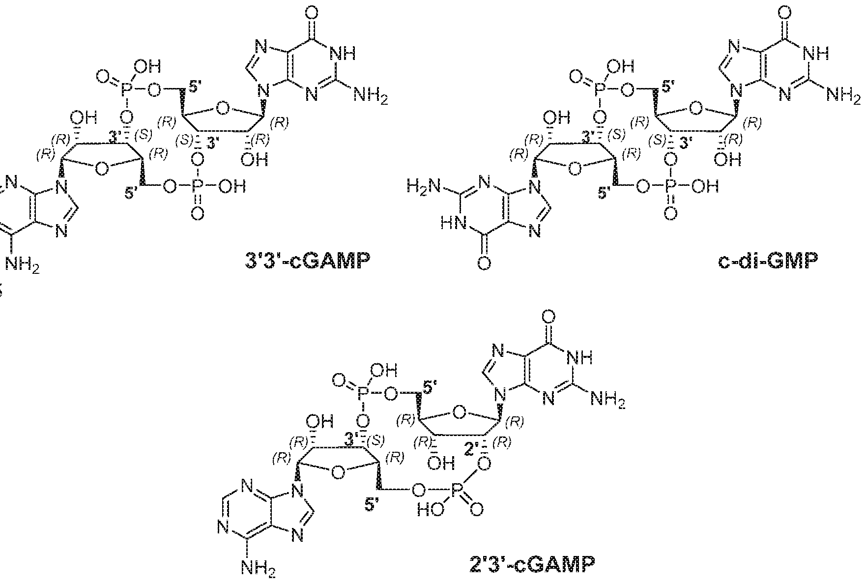 Figure imgf000003_0001