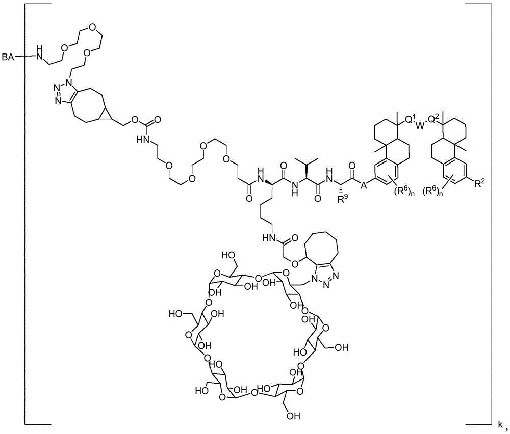 Figure BDA0003169092350001103