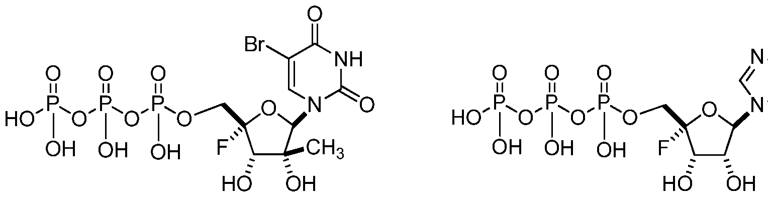 Figure imgf000083_0001