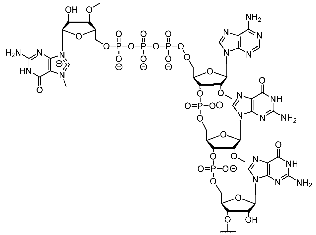 Figure imgf000212_0002
