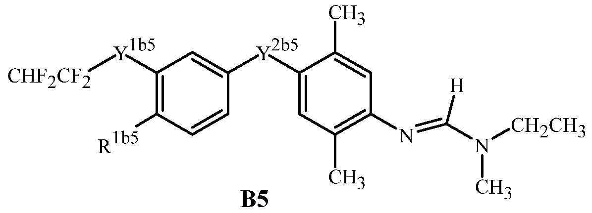 Figure imgf000005_0002