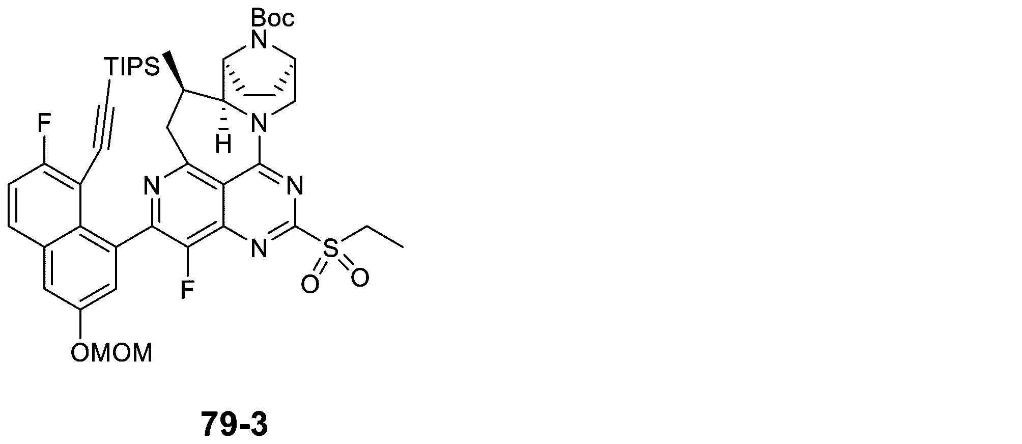 Figure 2025513258000299