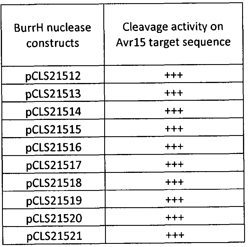 Figure imgf000067_0001