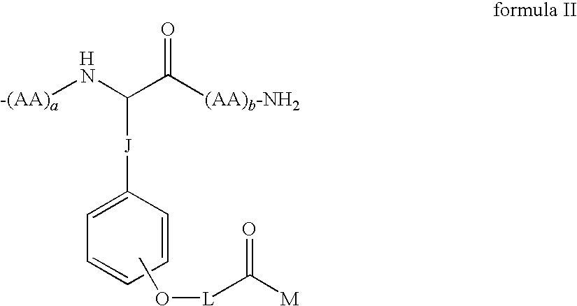 Figure US20090176967A1-20090709-C00026