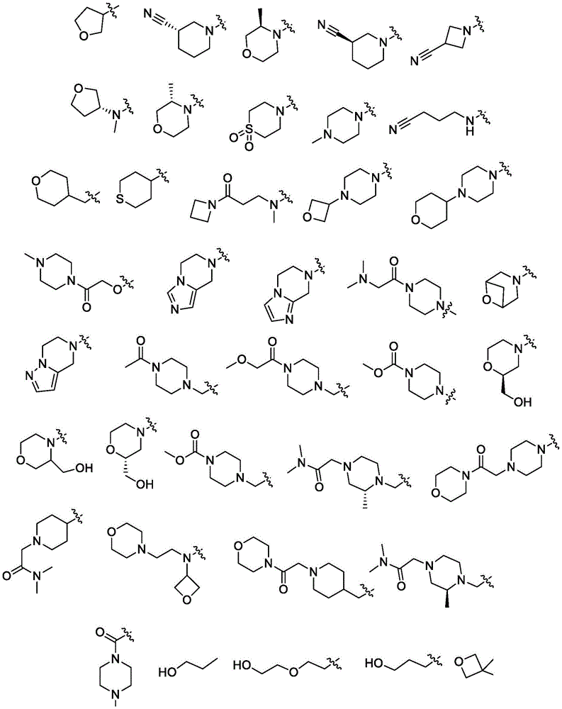 Figure BDA0002198914050000411