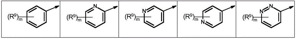 Figure FDA0003773017420000031