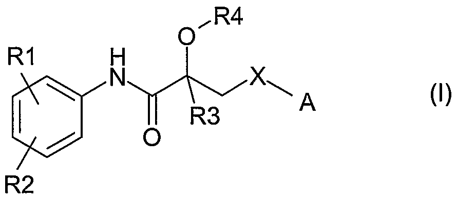 Figure imgf000004_0001