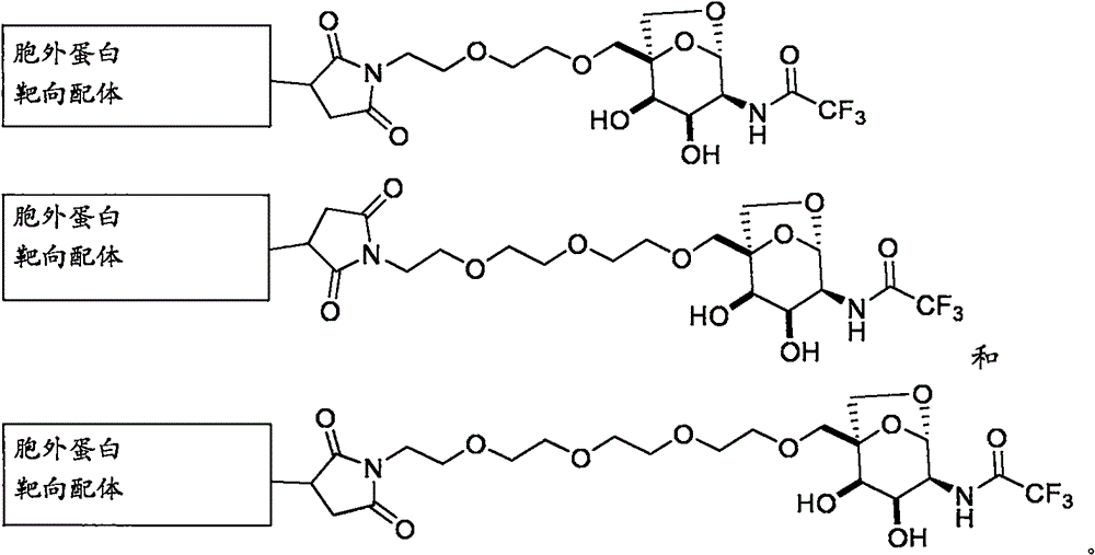 Figure BPA0000324887470000931
