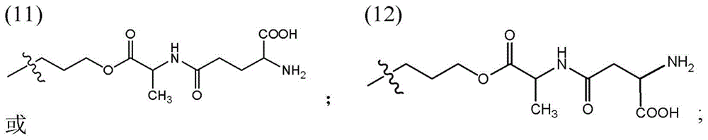 Figure BDA0003135424430001351
