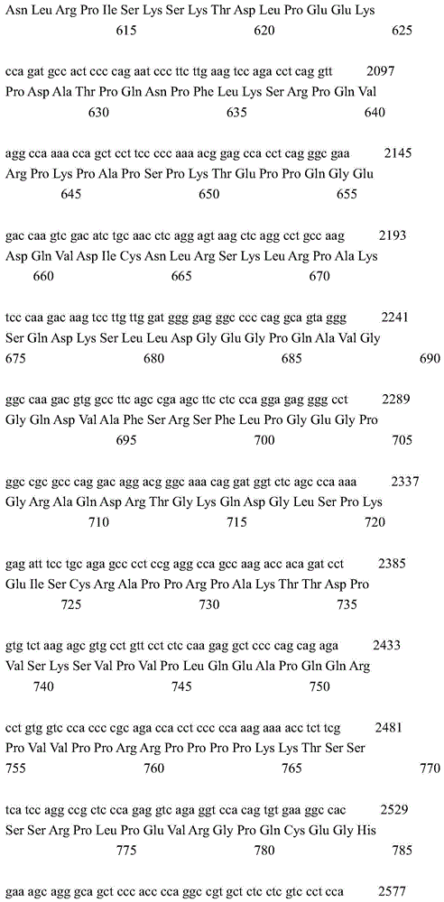 Figure IDA0000827411970000201