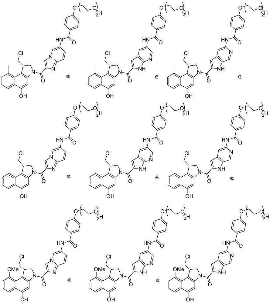 Figure GDA0002483706190001081