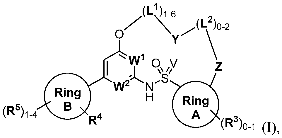 Figure imgf000004_0001