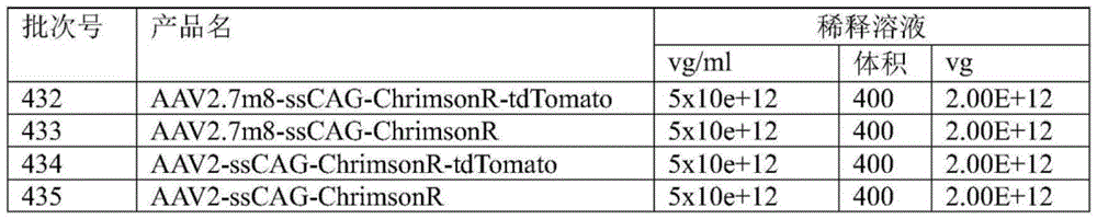 Figure GDA0004072109420000211