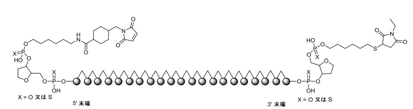 Figure 2023011614000018