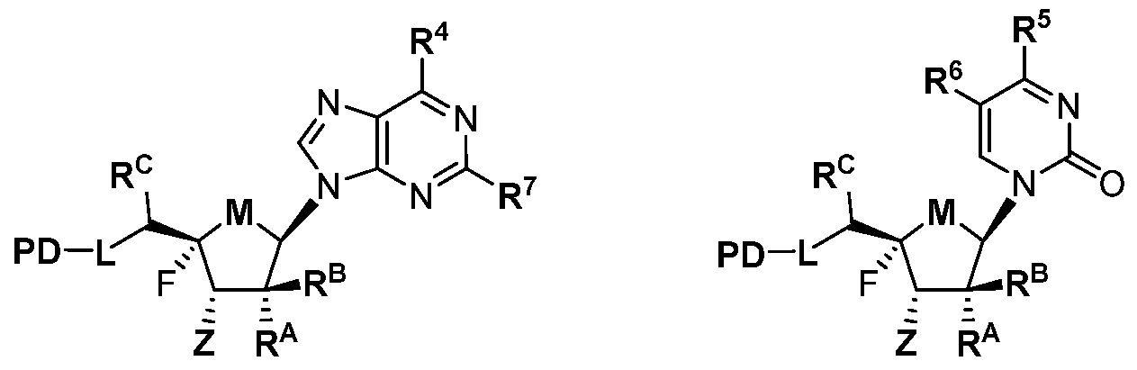 Figure imgf000038_0002