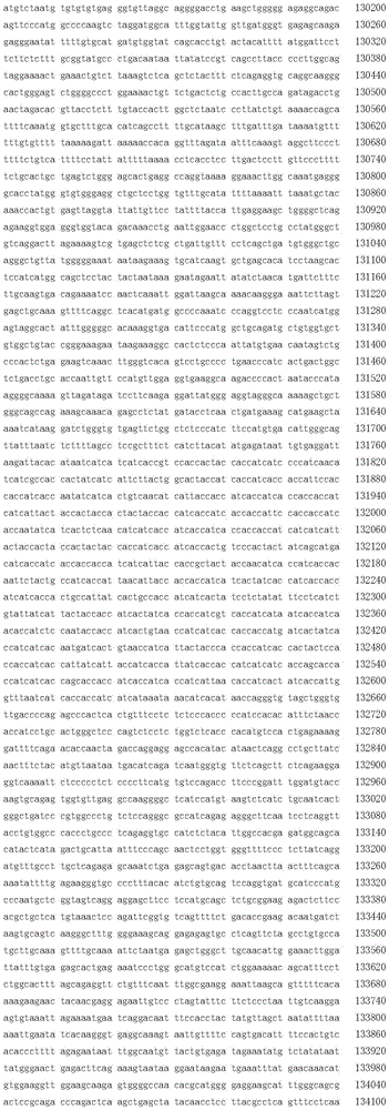 Figure BDA0002717577820006001