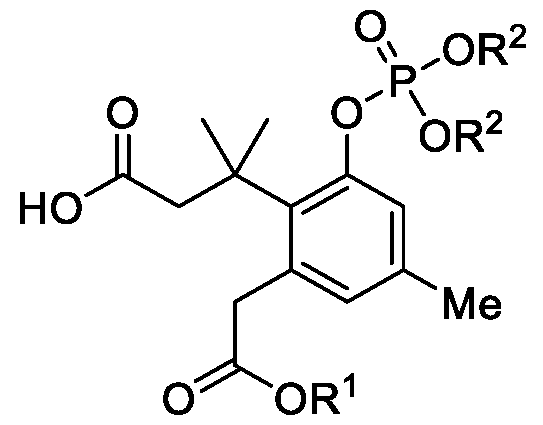 Figure imgf000079_0001