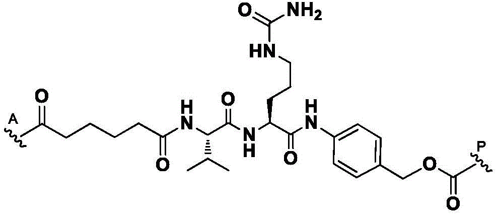 Figure FDA0003817518580000125