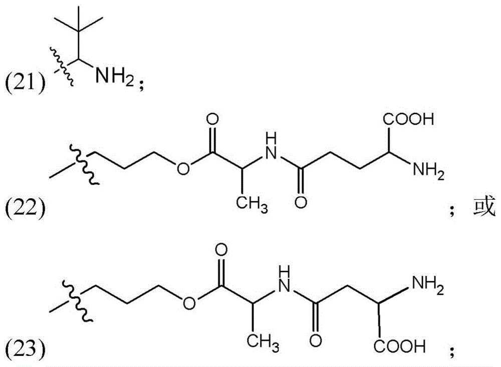 Figure BDA0003135424430001141
