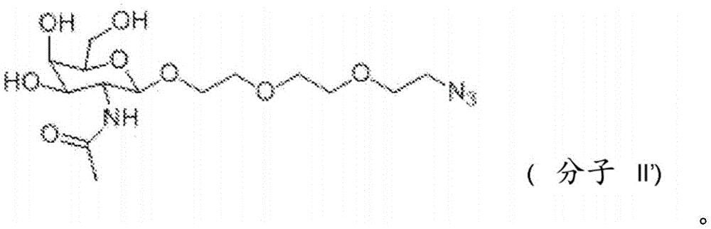 Figure BDA0004086040580000391