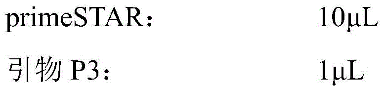 Figure BDA0002010928320000073