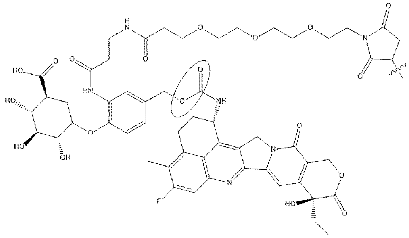 Figure imgf000019_0002