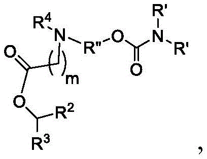Figure BDA0003652566710001301