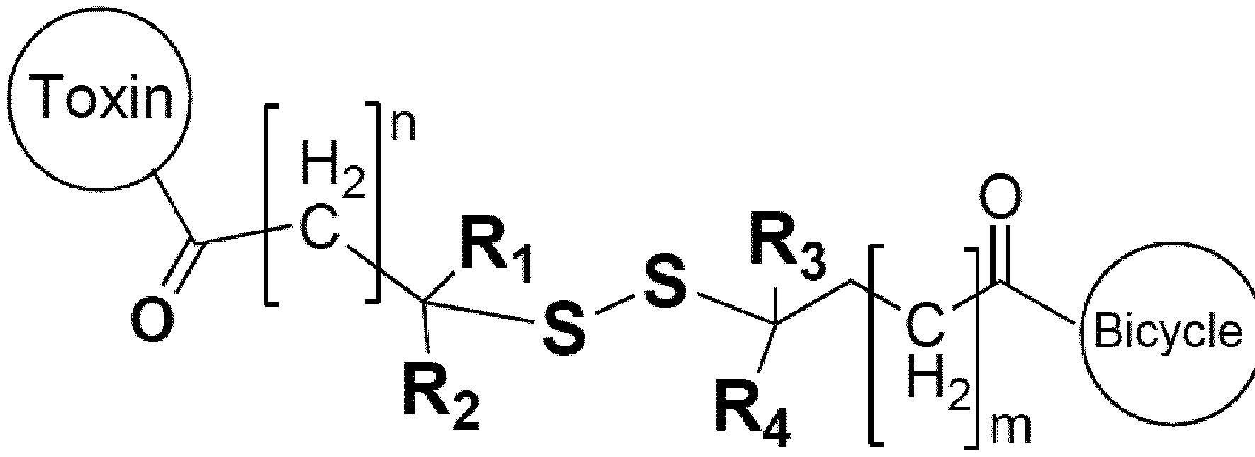 Figure imgf000011_0001