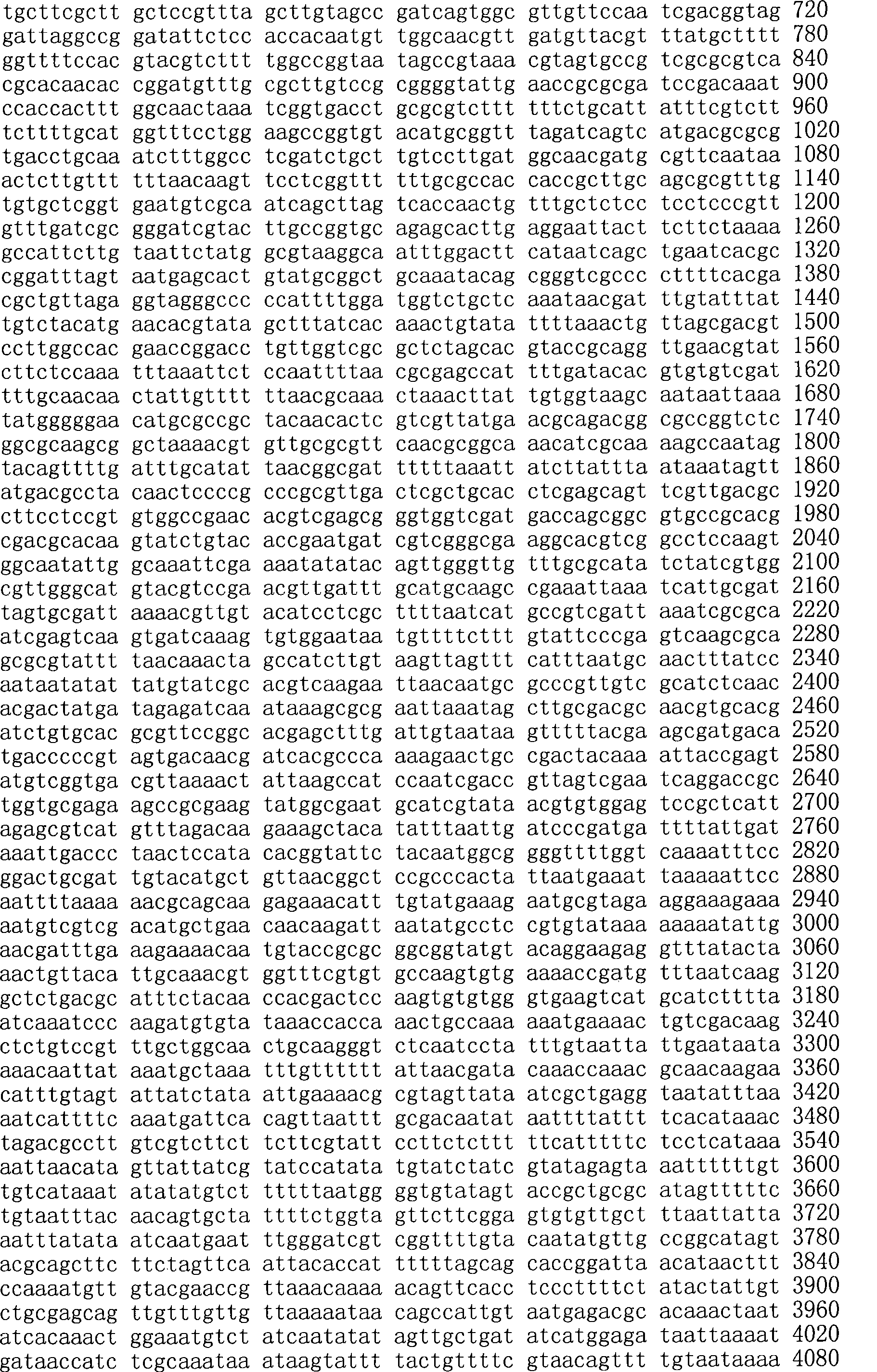 Figure A200780009494D01611