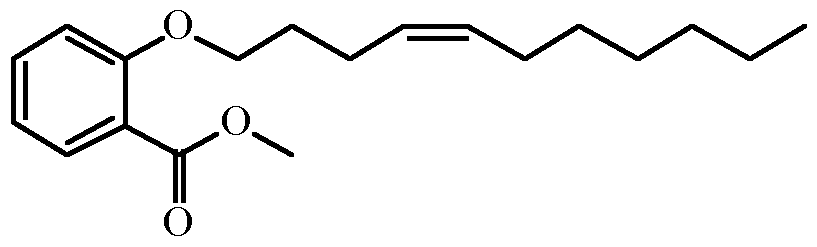 Figure imgf000090_0002
