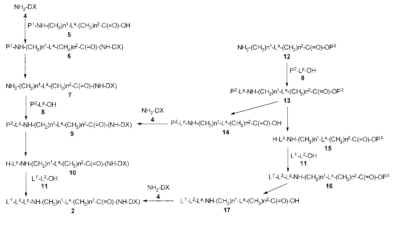 Figure JPOXMLDOC01-appb-C000024