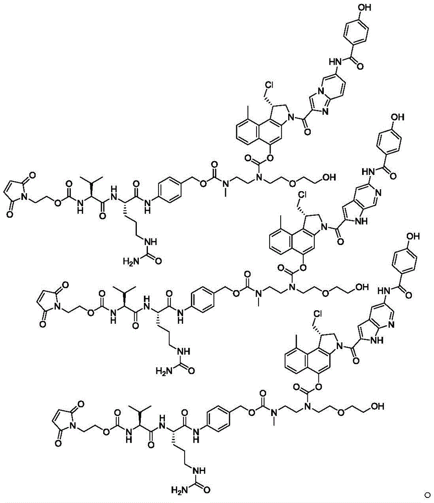 Figure GDA0002483706190002211