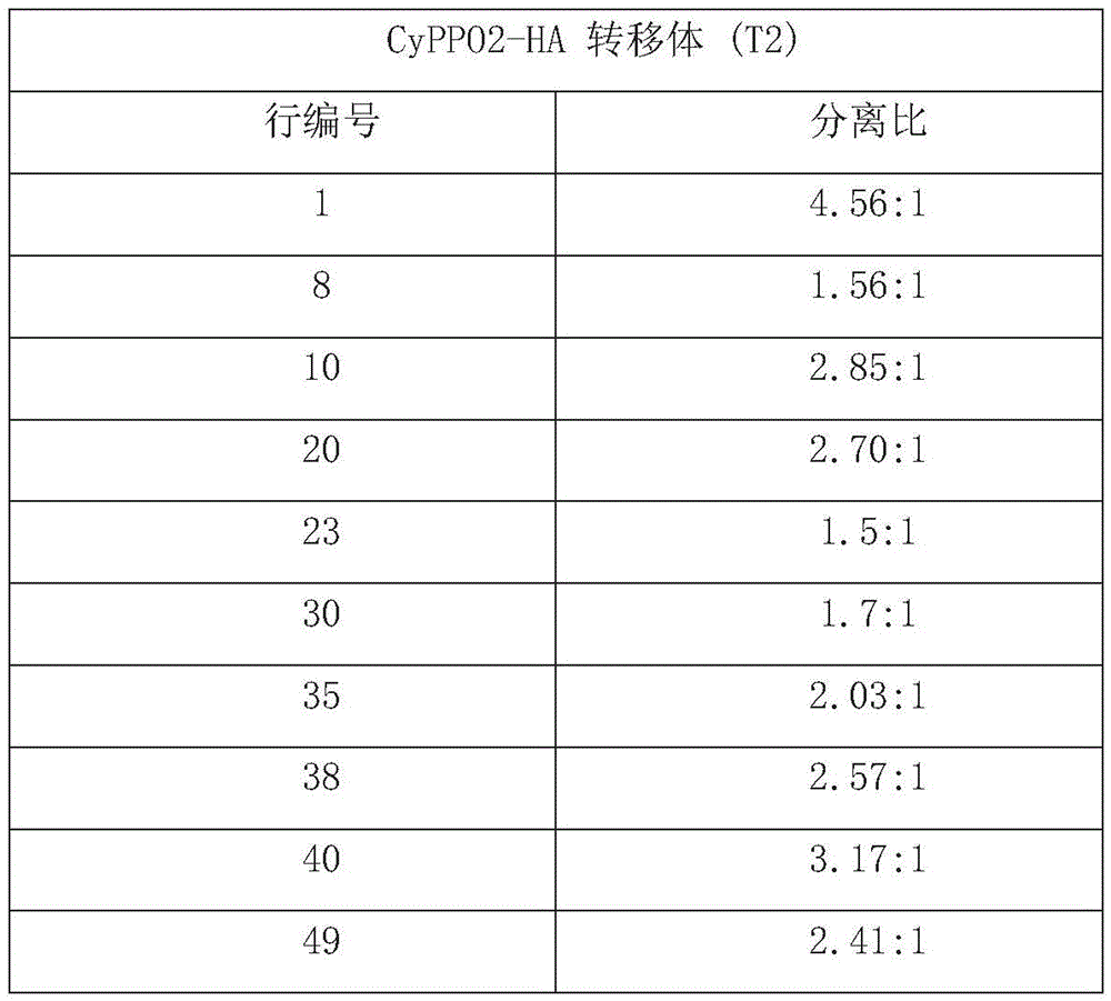Figure RE-GDA0002680708200000321