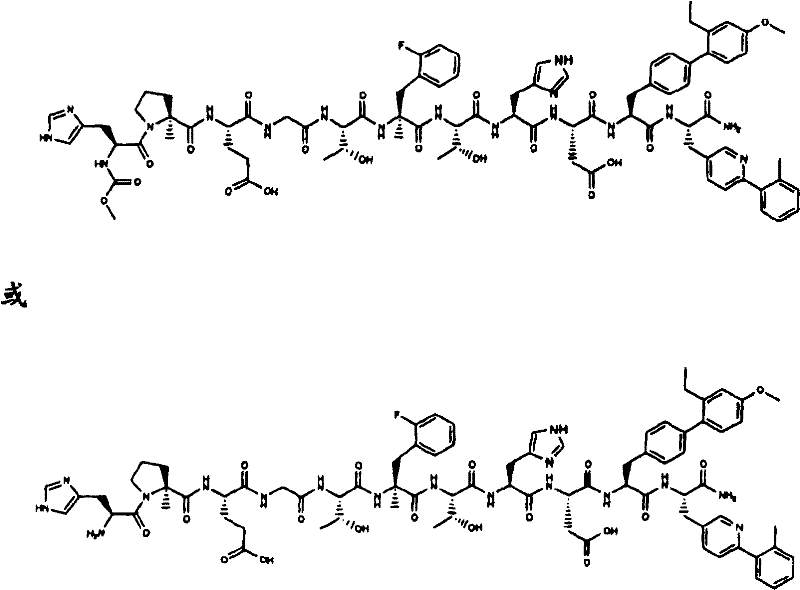 Figure B2005800295435D00211