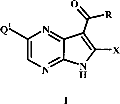 Figure FPA00001207418500011