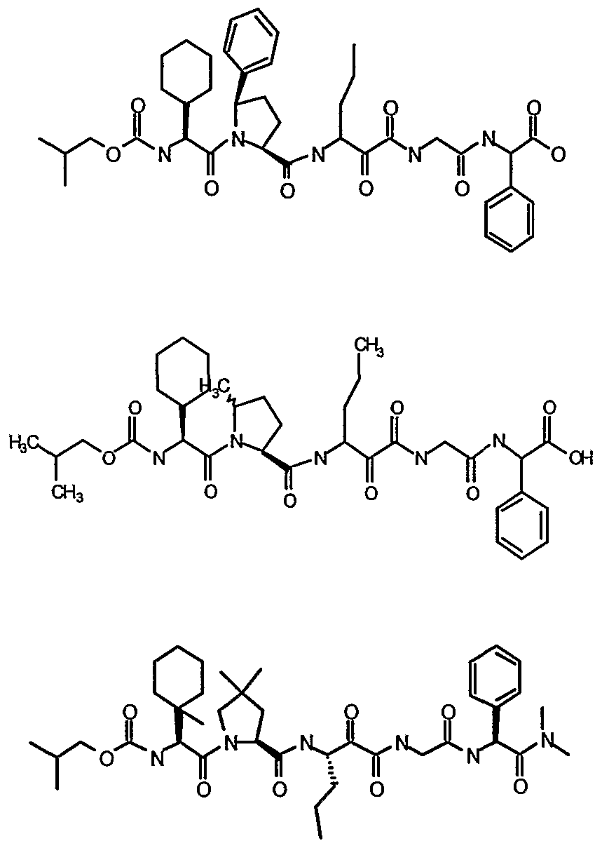Figure imgf000082_0001
