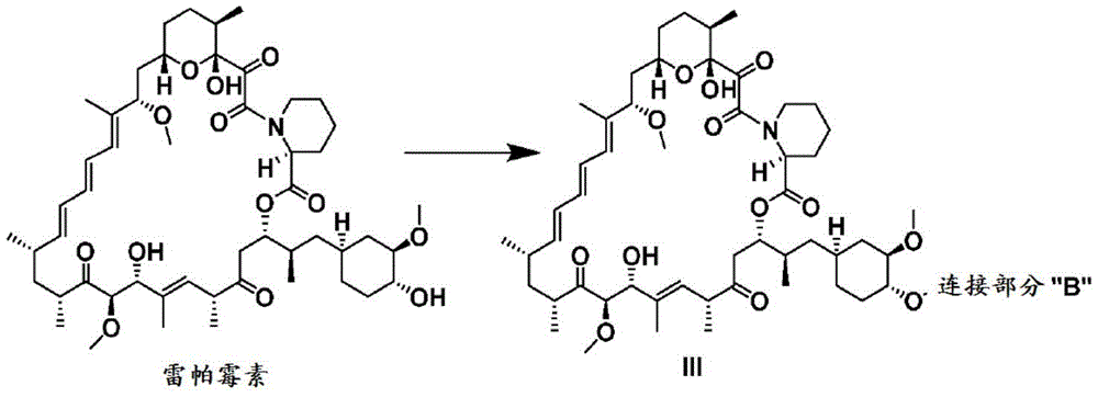 Figure BDA0001275843840001533