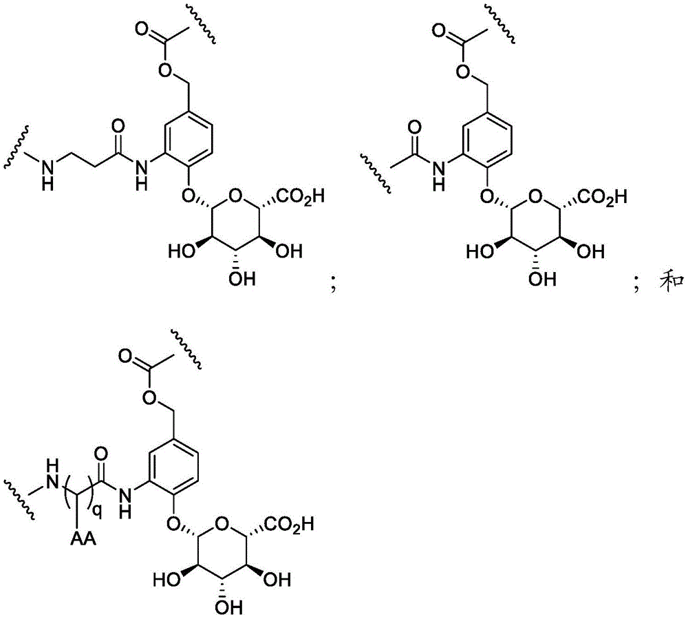 Figure FDA0003652151050000081
