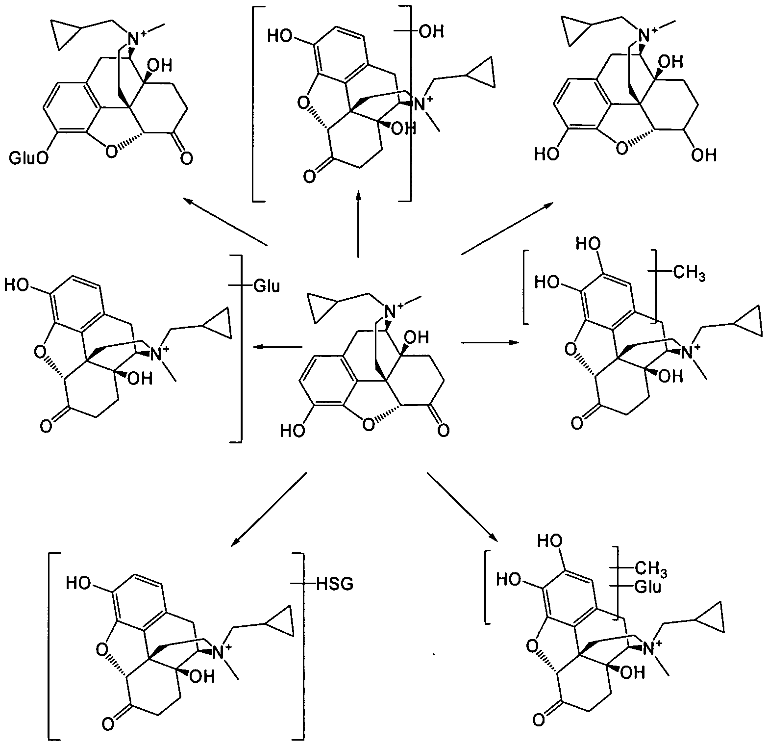 Figure imgf000013_0001